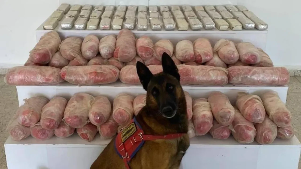 Van'da uyuşturucu tacirlerine ağır darbe: 67 kilo uyuşturucu ele geçirildi!