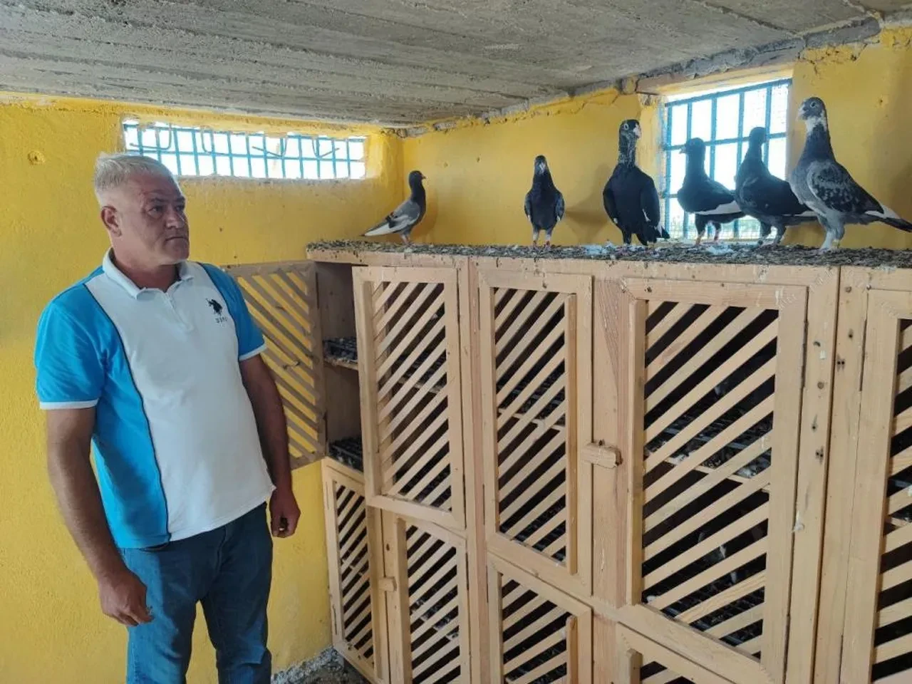 Güvercinin bulup getirene 100 bin TL ödül! 'Evladımı kaybetmiş gibiyim'