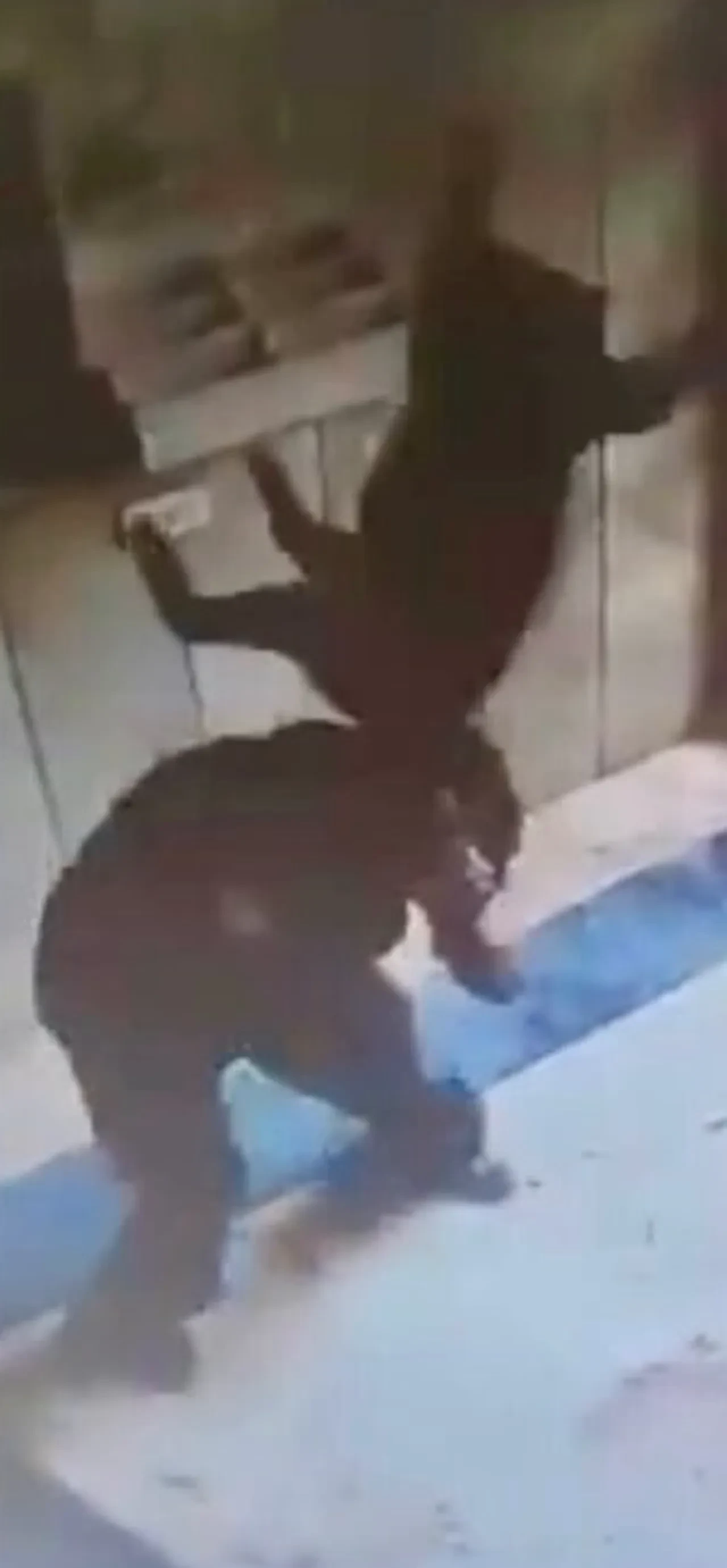 Küçük kediyi kuyruğundan tutarak yerden yere vurmuştu! Cezve'nin katilinin cezası belli oldu!