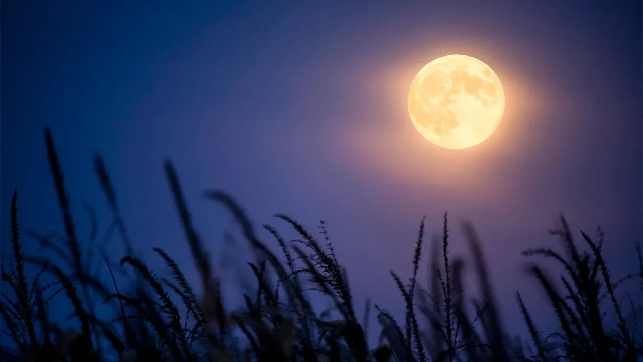 Yılın ilk Süper Ayı bu gece görünecek! Gözünüzü gökyüzünden ayırmayın