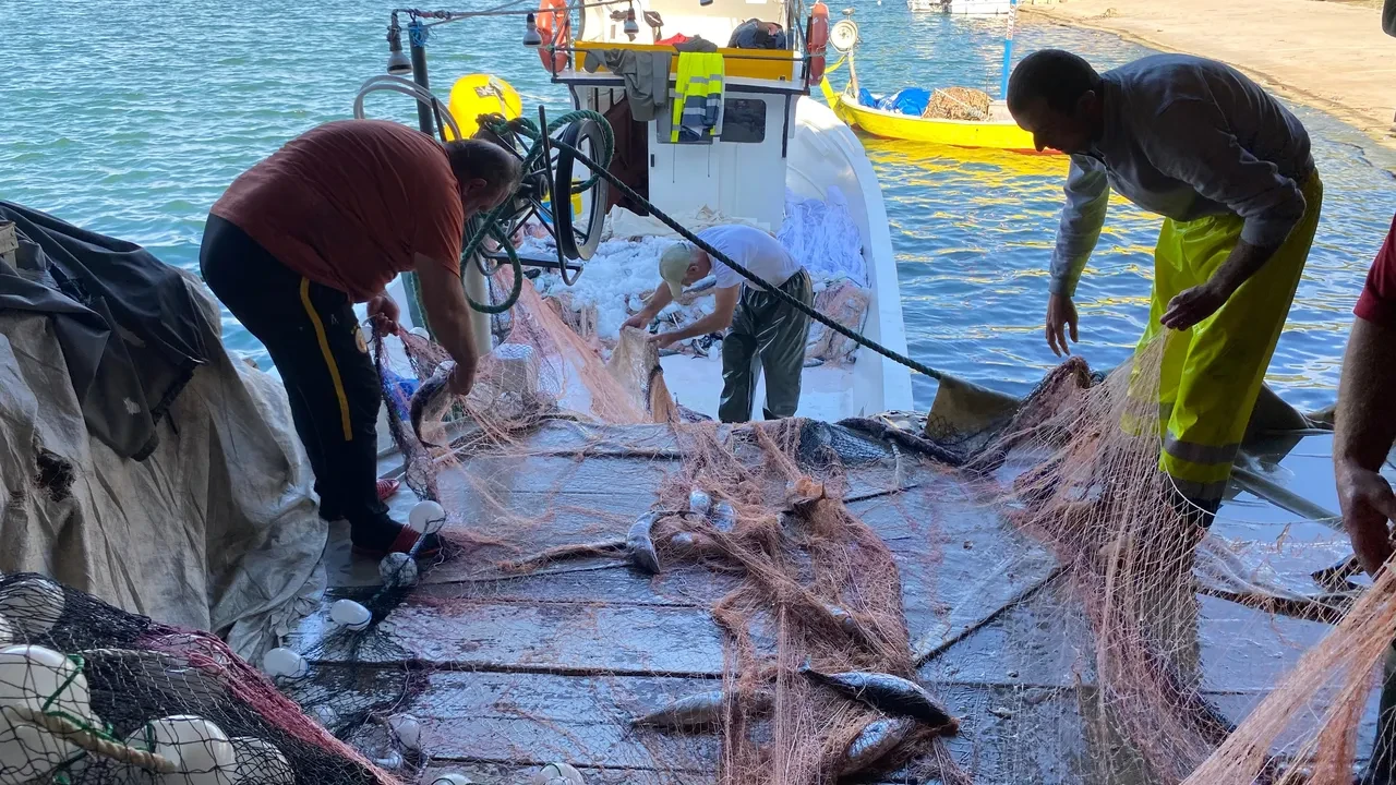 Denizlerde sürpriz! 'Bu yıl olmaz' diyorlardı, Karadeniz'de yakalandı