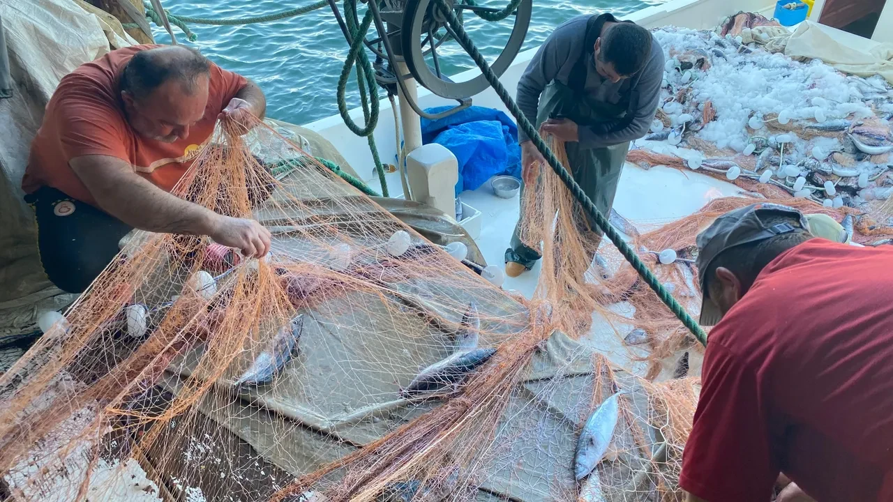 Denizlerde sürpriz! 'Bu yıl olmaz' diyorlardı, Karadeniz'de yakalandı