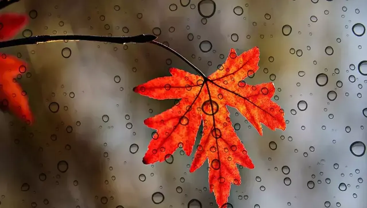 Pastırma sıcakları başladı mı? Pastırma sıcakları tarihleri