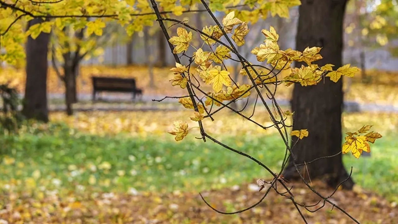 Pastırma sıcakları başladı mı? Pastırma sıcakları tarihleri