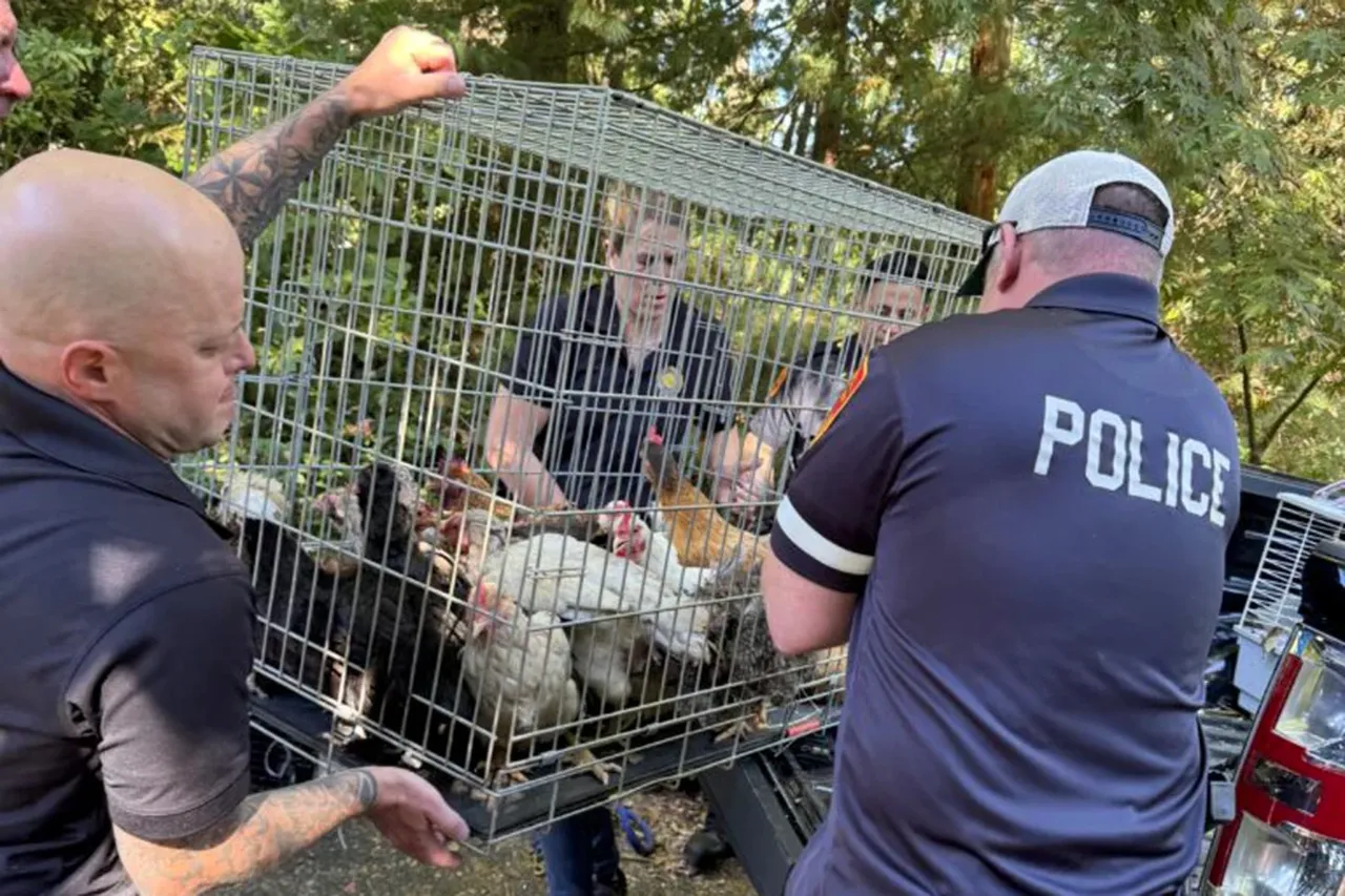 Polis neye uğradığını şaşırdı: Evden tam 206 hayvan çıktı!