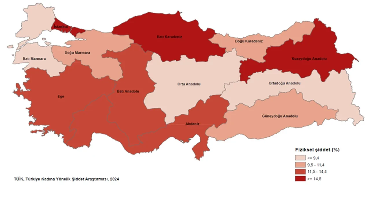 TÜİK açıkladı! Kadınların yüzde 12,8’i fiziksel şiddet yaşadı