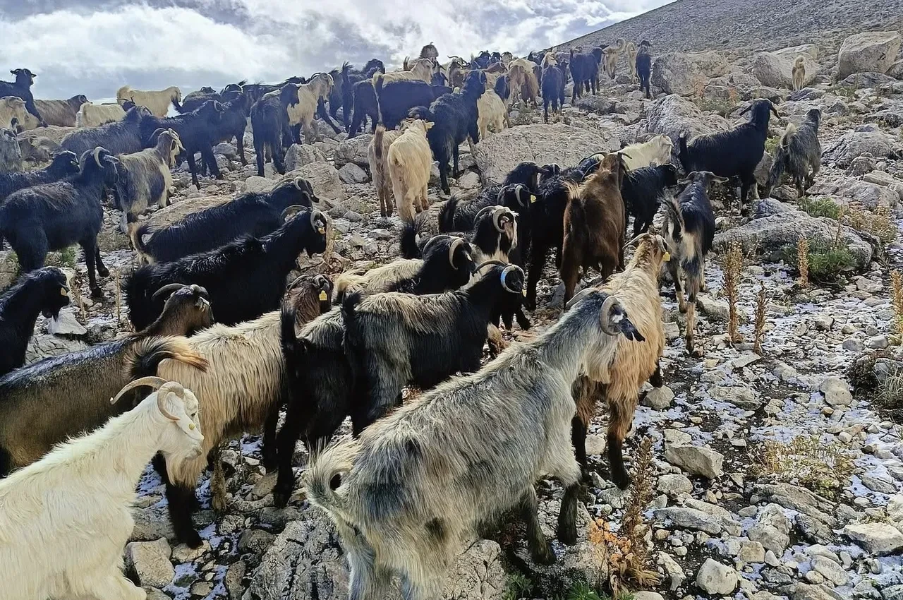 Antalya'nın Kaş ilçesinde yüksek kesimlere kar yağdı