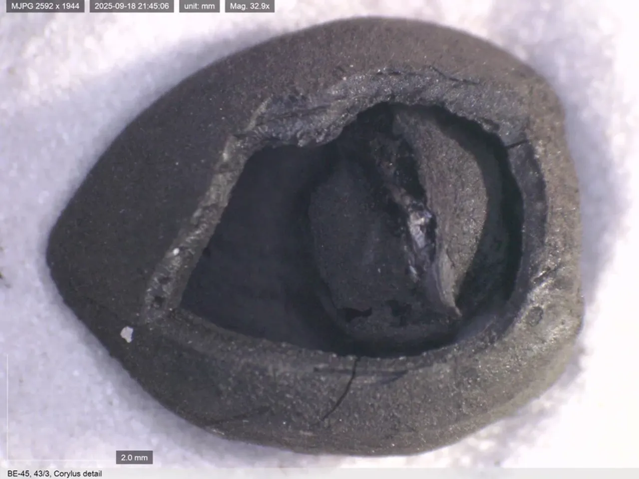 Binlerce yıllık sofra geleneği ortaya çıktı! 4 bin yıllık nohut, 8 bin yıllık ekmek 