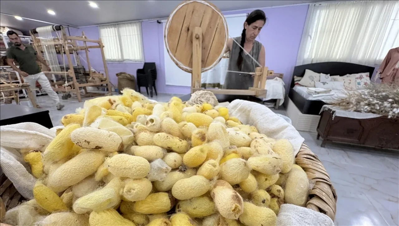 Depremden kurtardığı yumurtalarla hayatı değişti