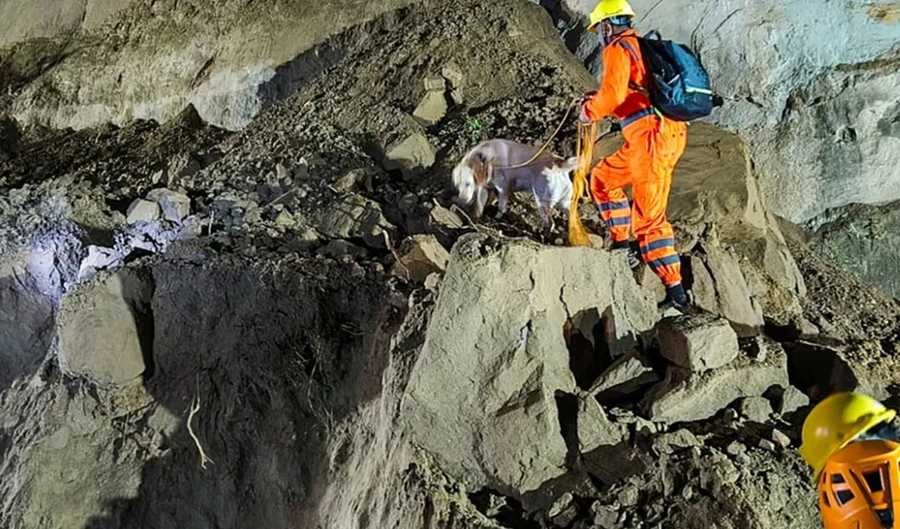 Heyelan otobüsü yuttu! Hindistan'da sel felaketi: Çok sayıda kişi hayatını kaybetti