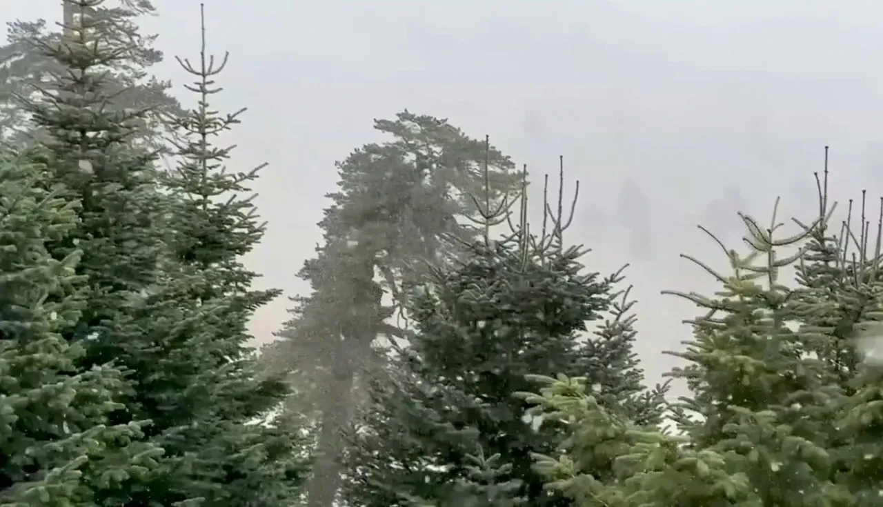 İstanbul'un yanı başına lapa lapa kar yağdı