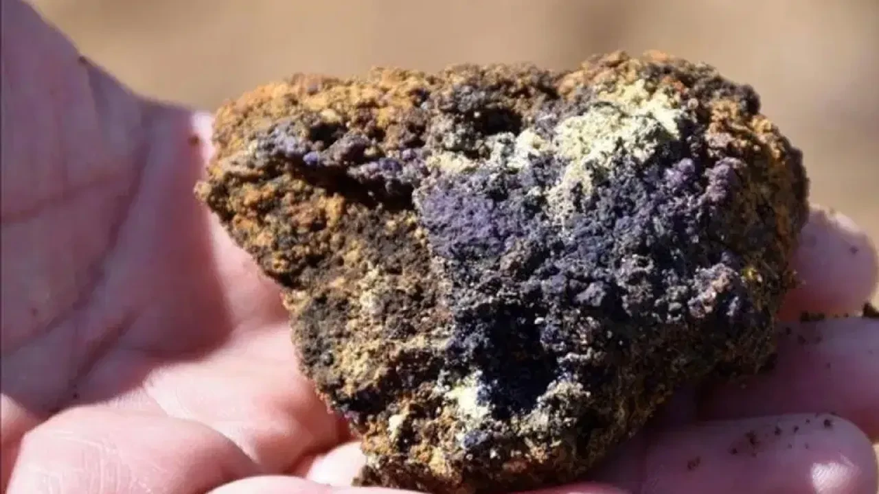 Nadir element sahası ABD'ye devredilecek iddiası! DMM'den açıklama geldi