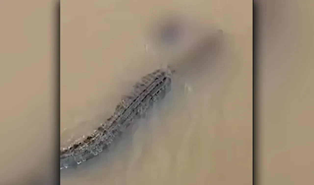 Nehrin kenarında yıkanan kadın timsaha yem oldu! Korkunç anlara şahit olanlar çaresiz kaldı