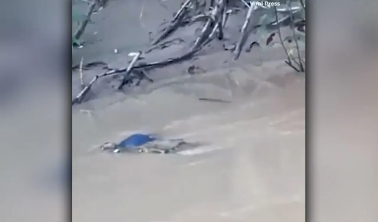 Nehrin kenarında yıkanan kadın timsaha yem oldu! Korkunç anlara şahit olanlar çaresiz kaldı