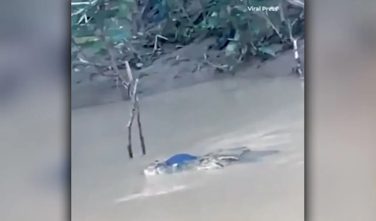 Nehrin kenarında yıkanan kadın timsaha yem oldu! Korkunç anlara şahit olanlar çaresiz kaldı