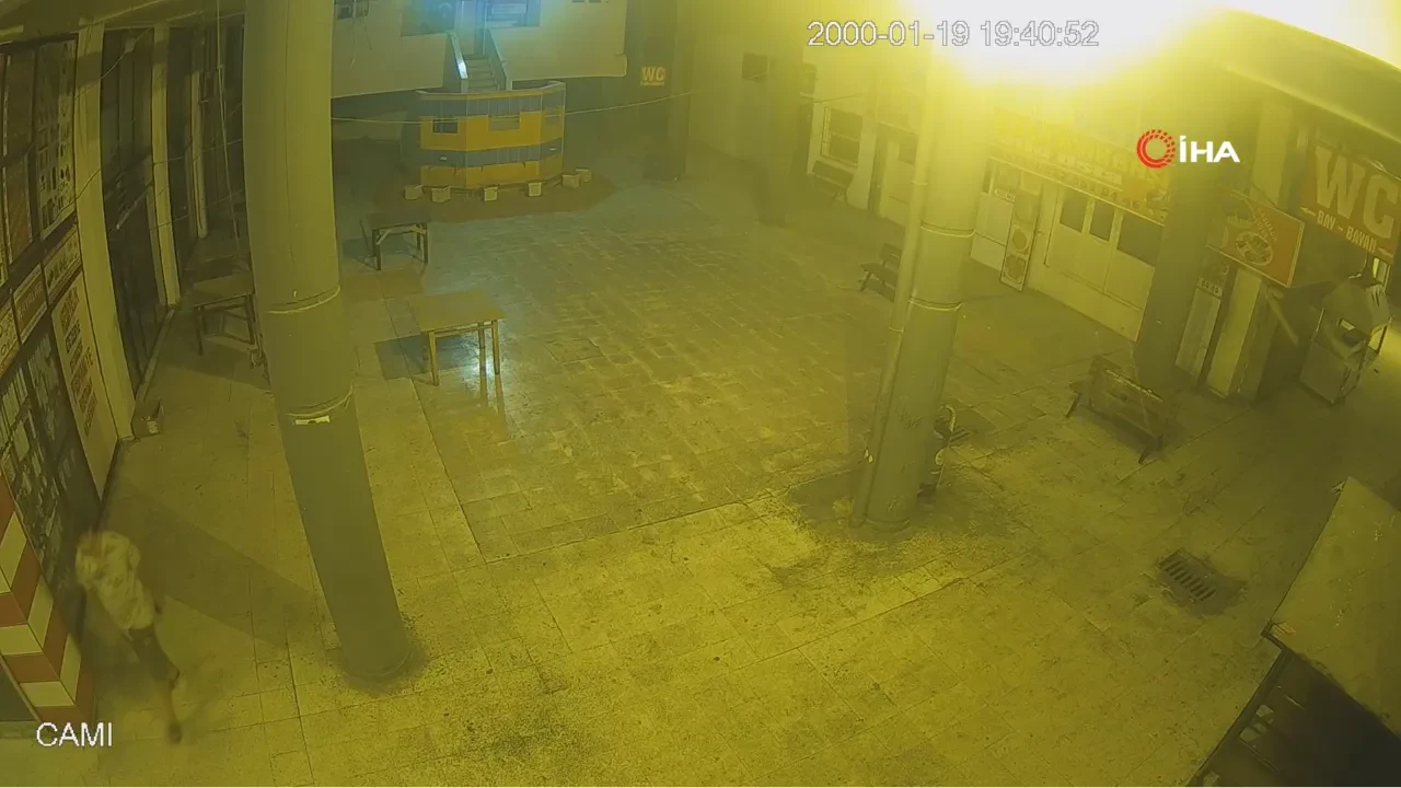 Parası bitince iş yeri soydu! O anlar kamerada