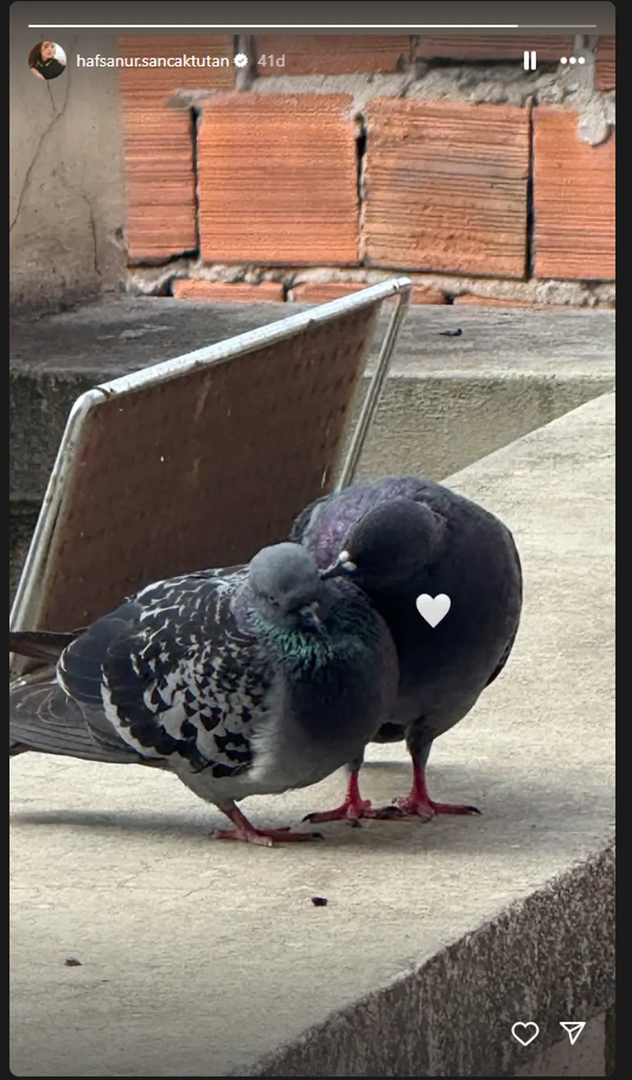 Sevgilisi Kubilay Aka gözaltına alınan Hafsanur Sancaktutan'dan garip paylaşım