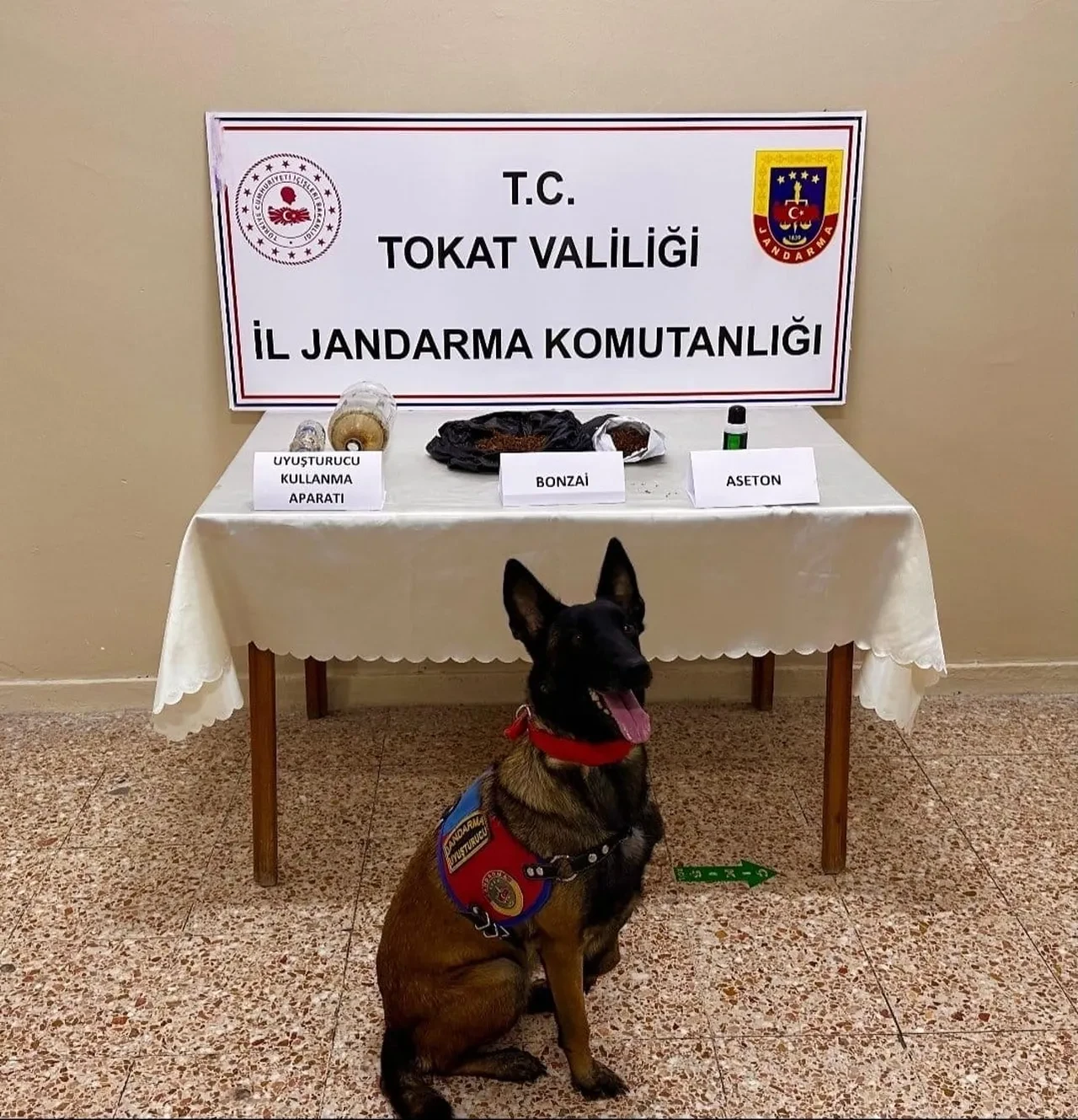 Tokat'ta jandarma operasyonu! Şüpheliler hakkında tutuklama kararı