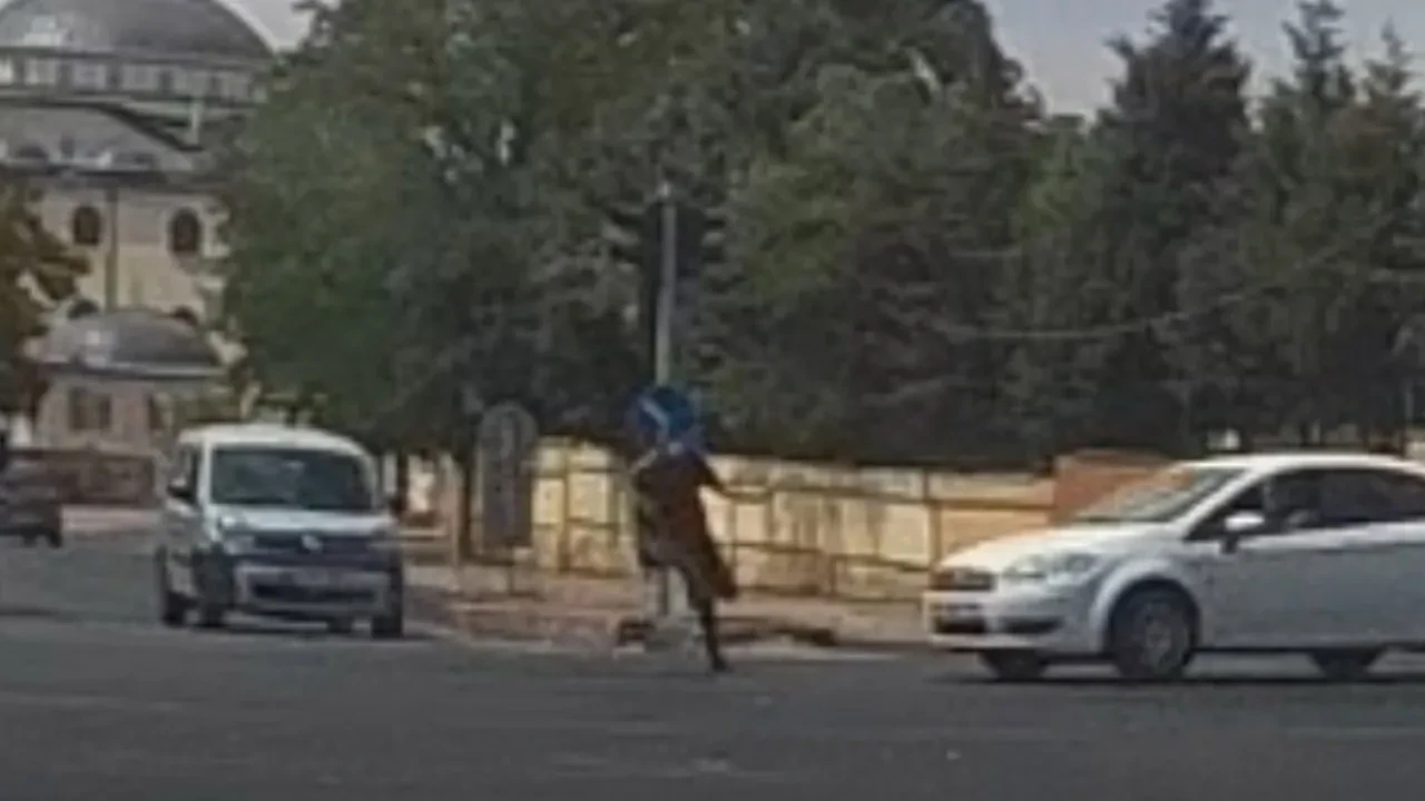 Aracın çarptığı kişi takla attı, yara almadan kurtuldu