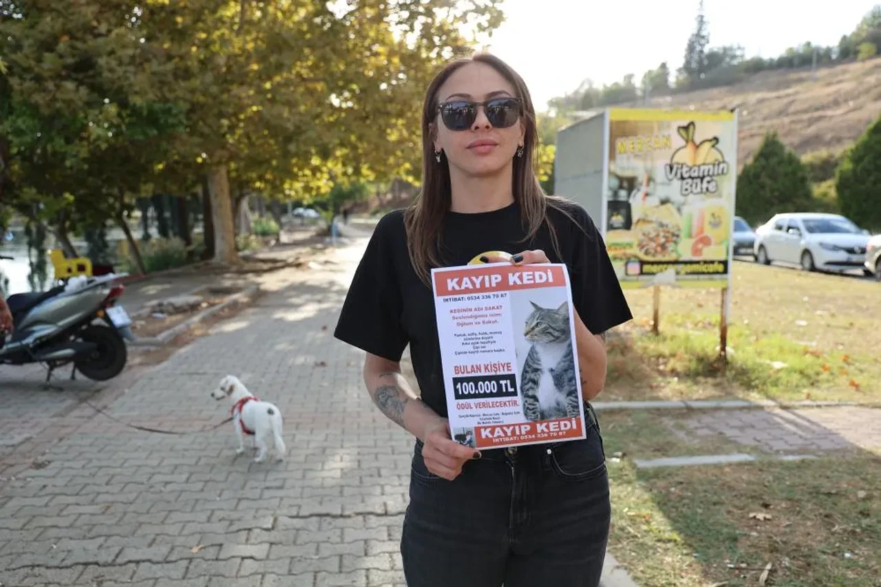 Bu kediyi gören yaşadı! Bulana 100 bin lira ödül