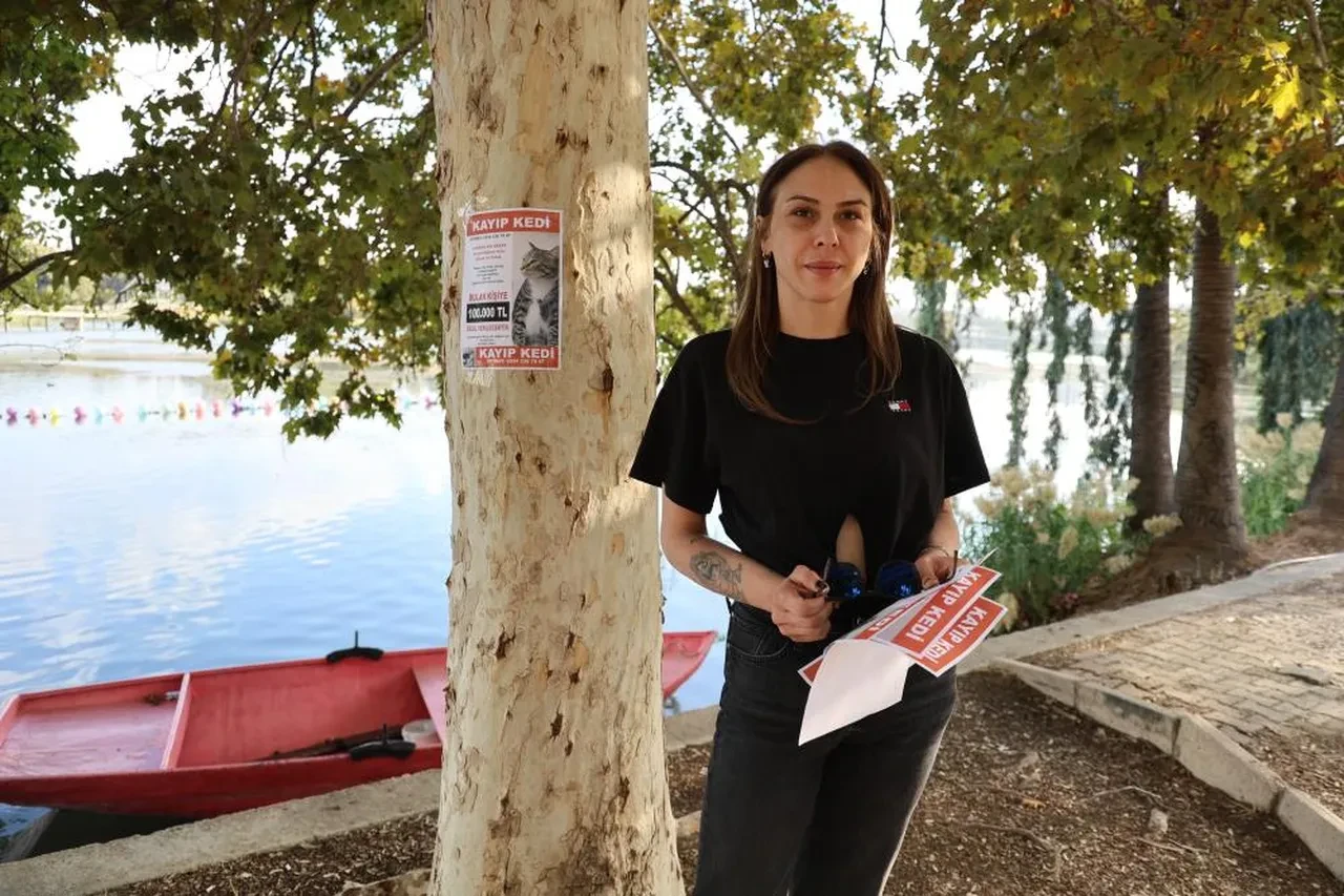 Bu kediyi gören yaşadı! Bulana 100 bin lira ödül