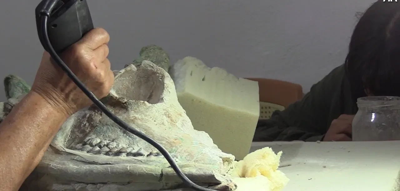 Çankırı'da hayrete düşüren keşif! Tam 9 milyon yıldır bozulmamış, bu beşinci tür