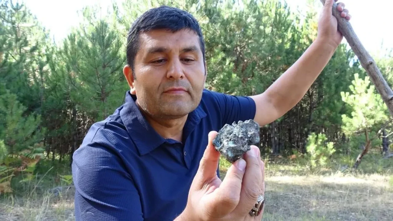 Mantar toplarken servet buldu! Taş diye aldı, göktaşı çıktı: Değeri milyonları bulabilir 