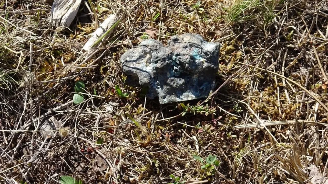 Mantar toplarken servet buldu! Taş diye aldı, göktaşı çıktı: Değeri milyonları bulabilir 