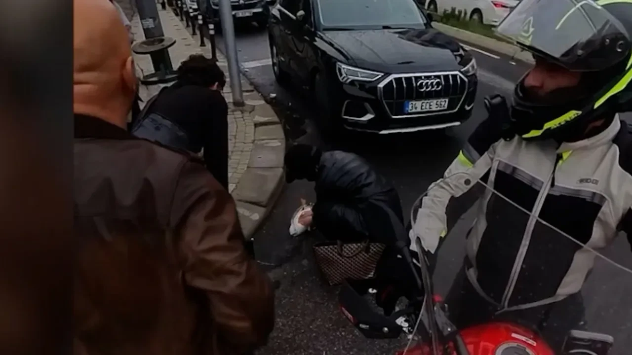 Trafik lambasına çarpan martıyı kalp masajıyla hayata döndürdü! O anlar kamerada 