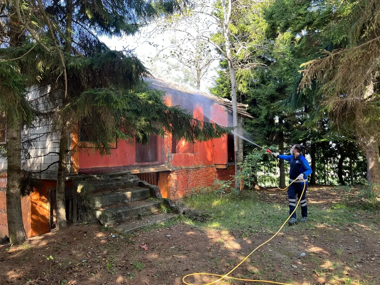 Üreticiler dikkat! Trabzon'da gözüktü, ekipler harekete geçti