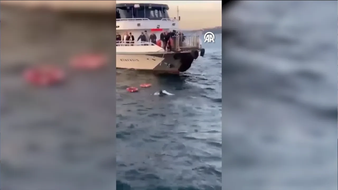 Feribotta can pazarı! Denize düşen kadını diğer yolcular kurtardı