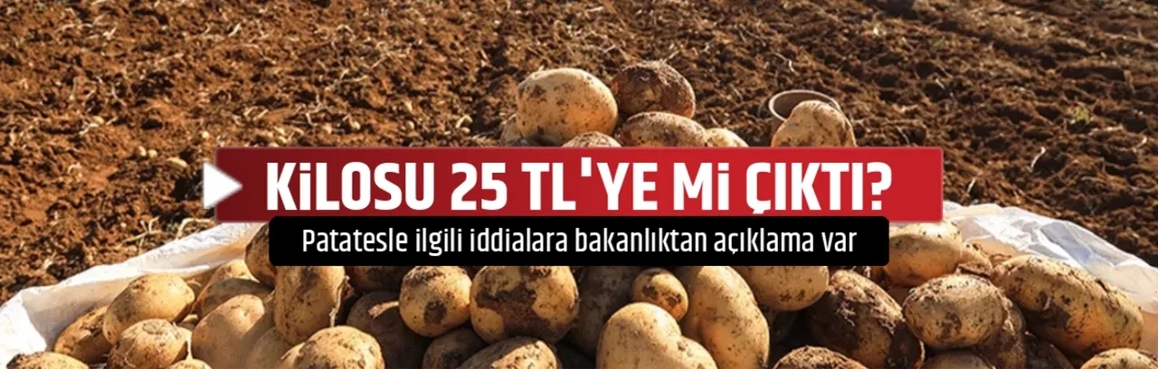 KİLOSU 25 TL'YE Mİ ÇIKTI?