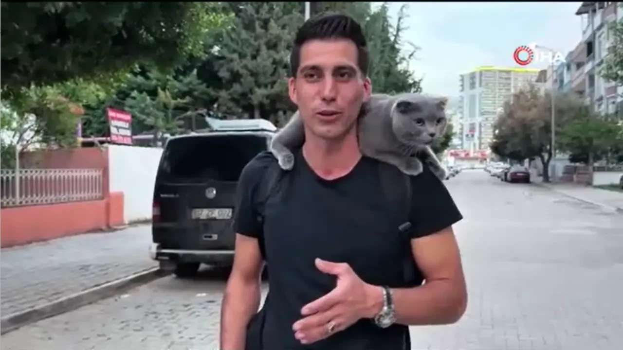 Sahibinin omzunda şehri geziyor! 