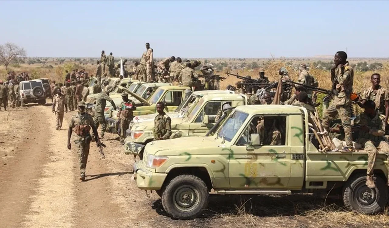 Sudan'da insanlık ölüyor! Cumhurbaşkanı Erdoğan dünyaya seslendi