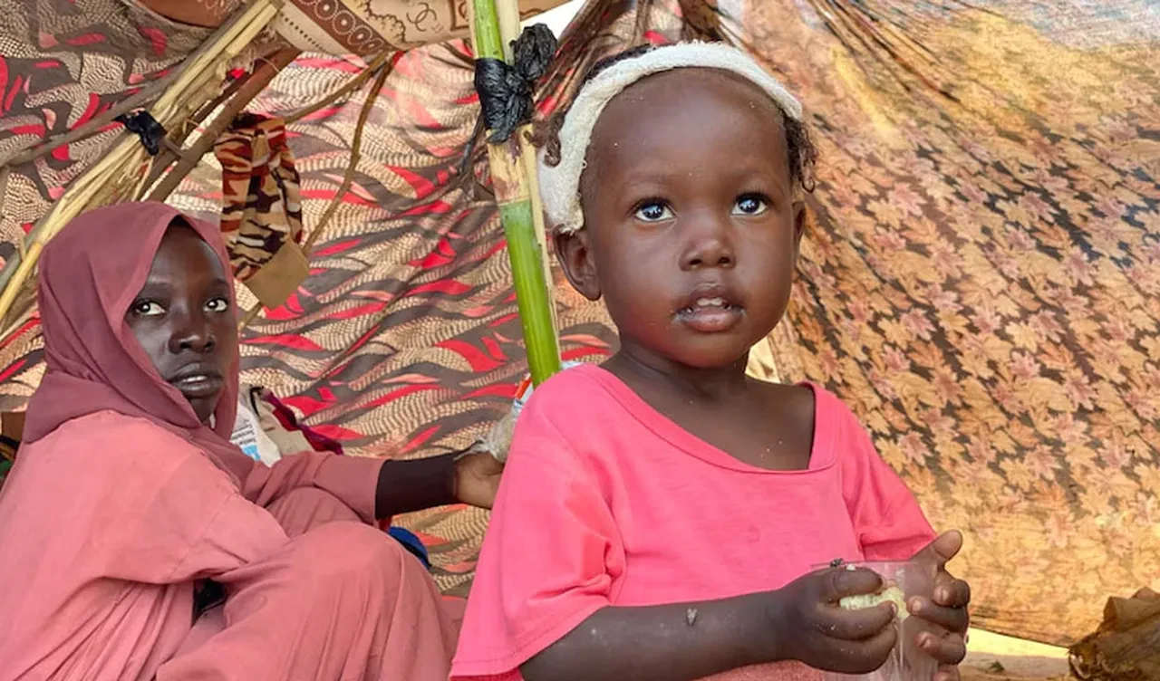 Sudan'da insanlık ölüyor! Cumhurbaşkanı Erdoğan dünyaya seslendi