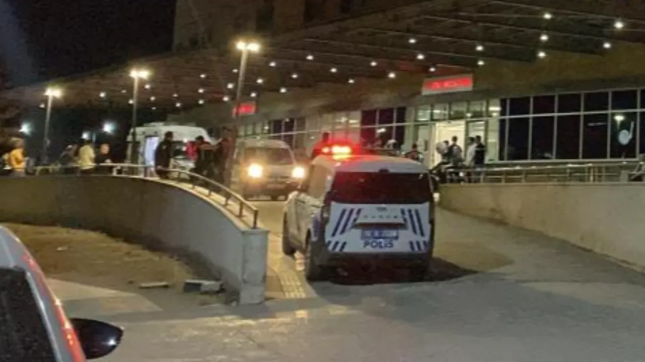 Tarlada hayvan otlatma kavgası! Komşusunu öldürüp intihar etti