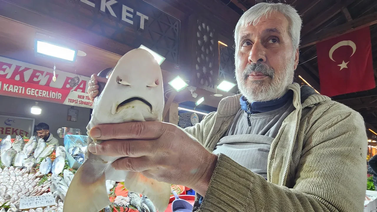 Tezgahta gören telefonları çıkarıyor! Köpek balığı kilosu 600 lira