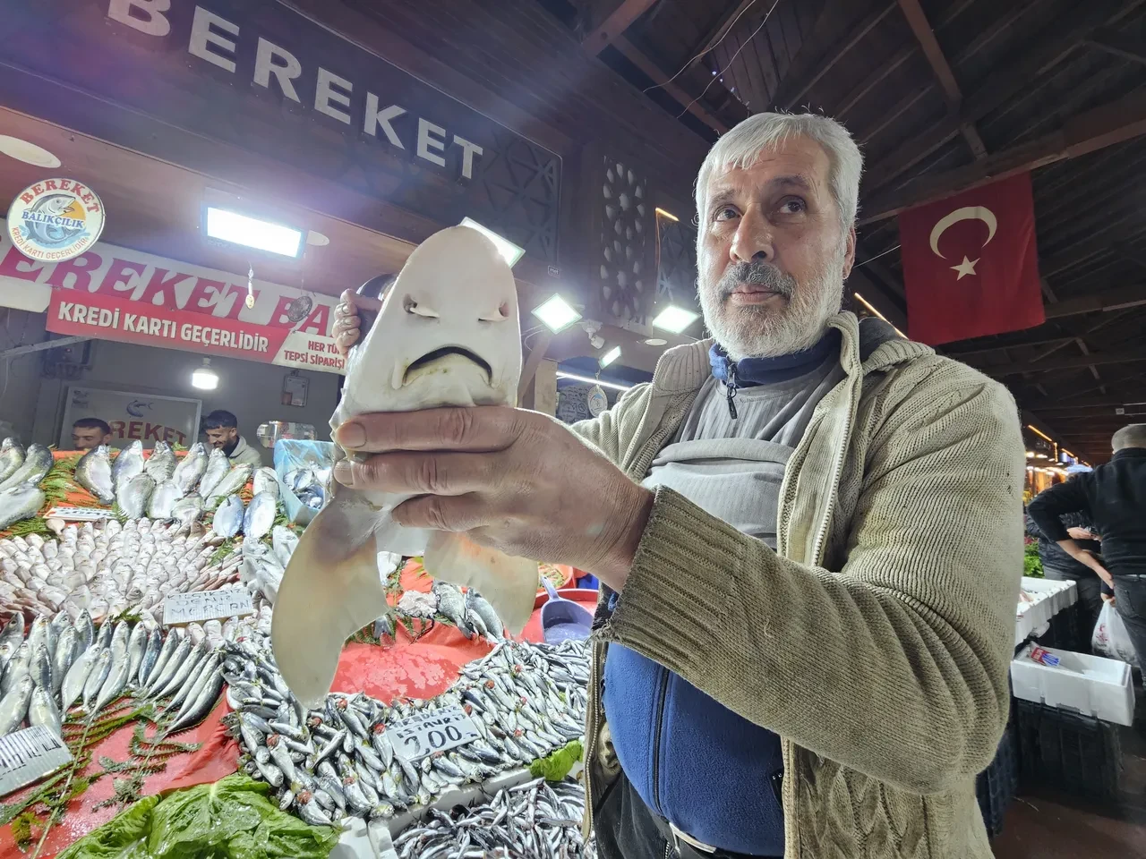 Tezgahta gören telefonları çıkarıyor! Köpek balığı kilosu 600 lira