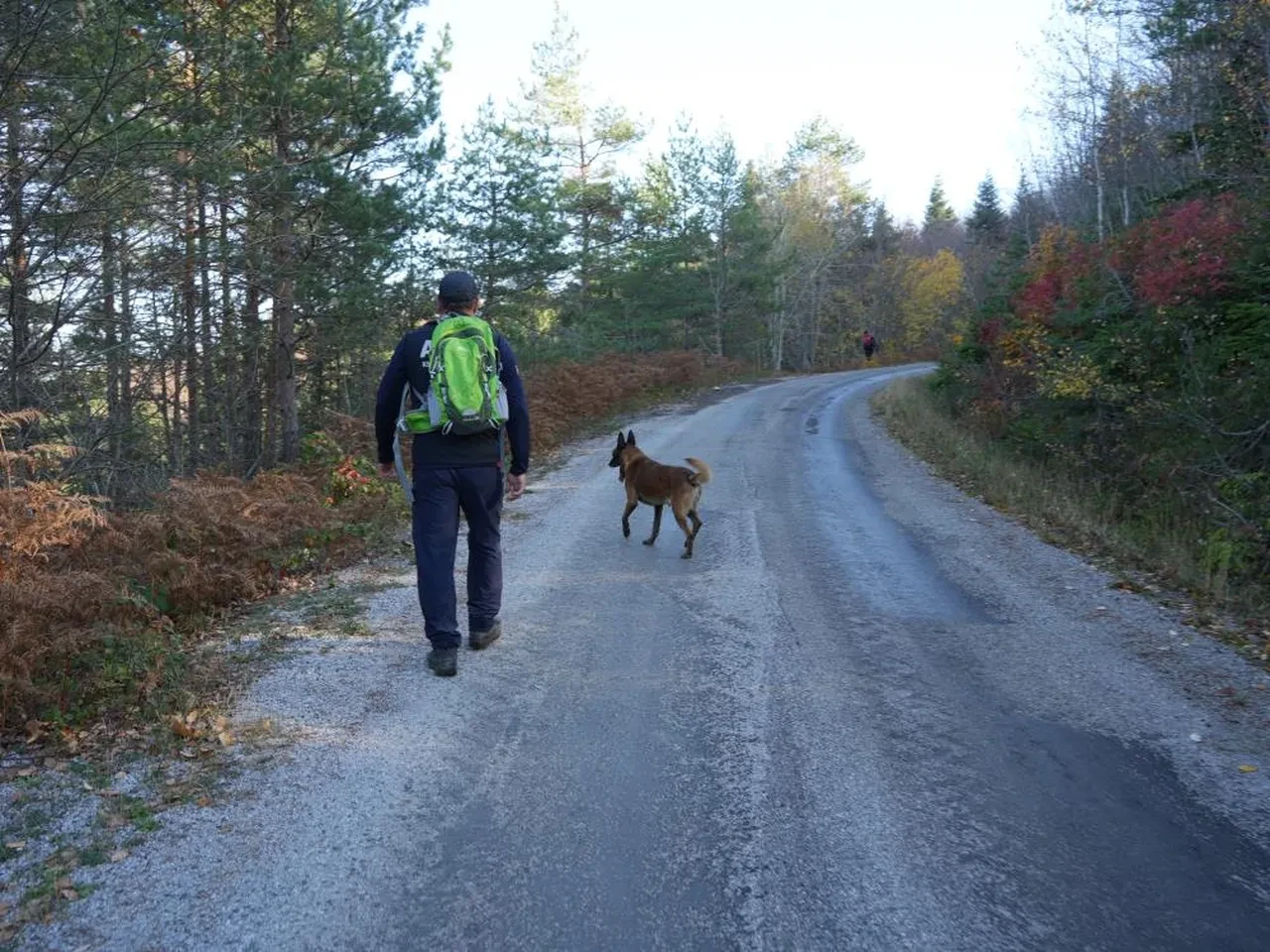 Anne ve oğlunu arama çalışmalarında yeni gelişme! Endişelendiren 'ayı' detayı 
