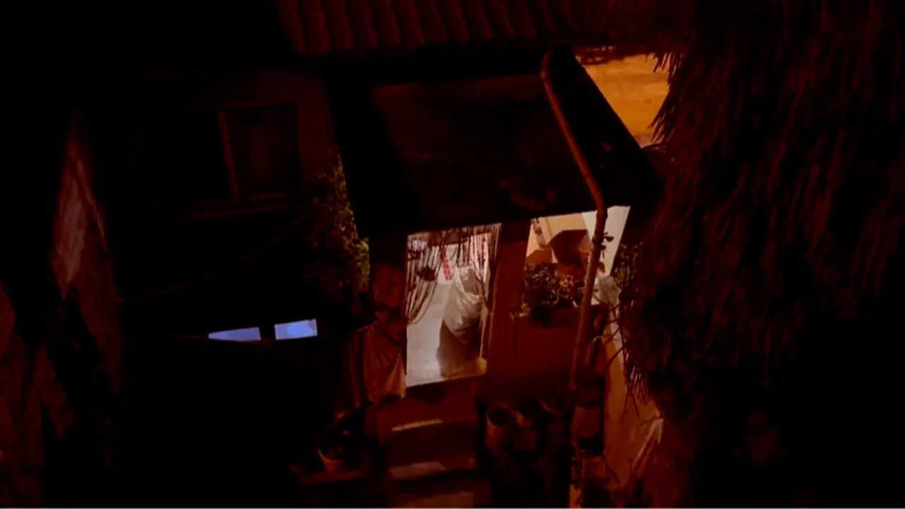 Bursa'da dehşet! Bahçeye çıkan yaşlı kadın neye uğradığını şaşırdı 