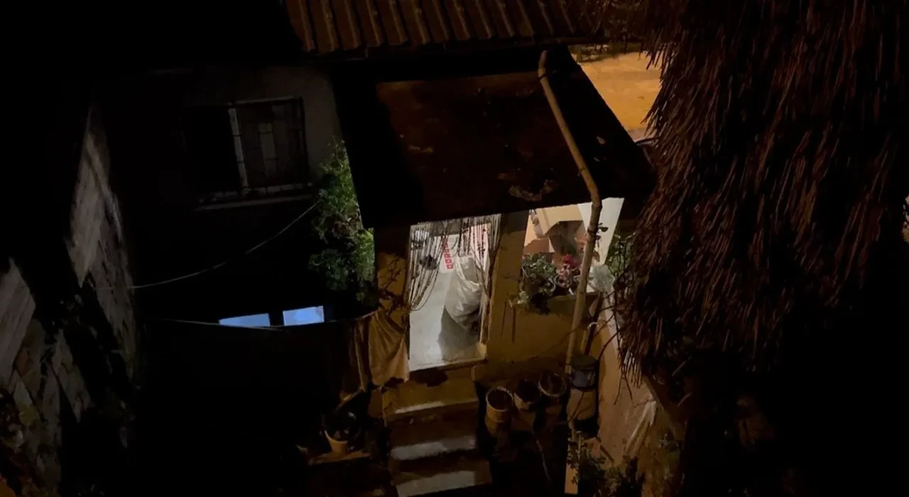 Bursa'da dehşet! Bahçeye çıkan yaşlı kadın neye uğradığını şaşırdı 