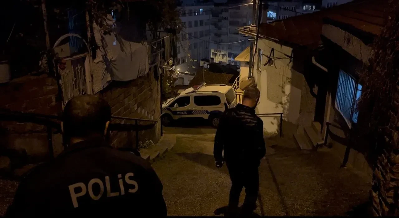 Bursa'da dehşet! Bahçeye çıkan yaşlı kadın neye uğradığını şaşırdı 