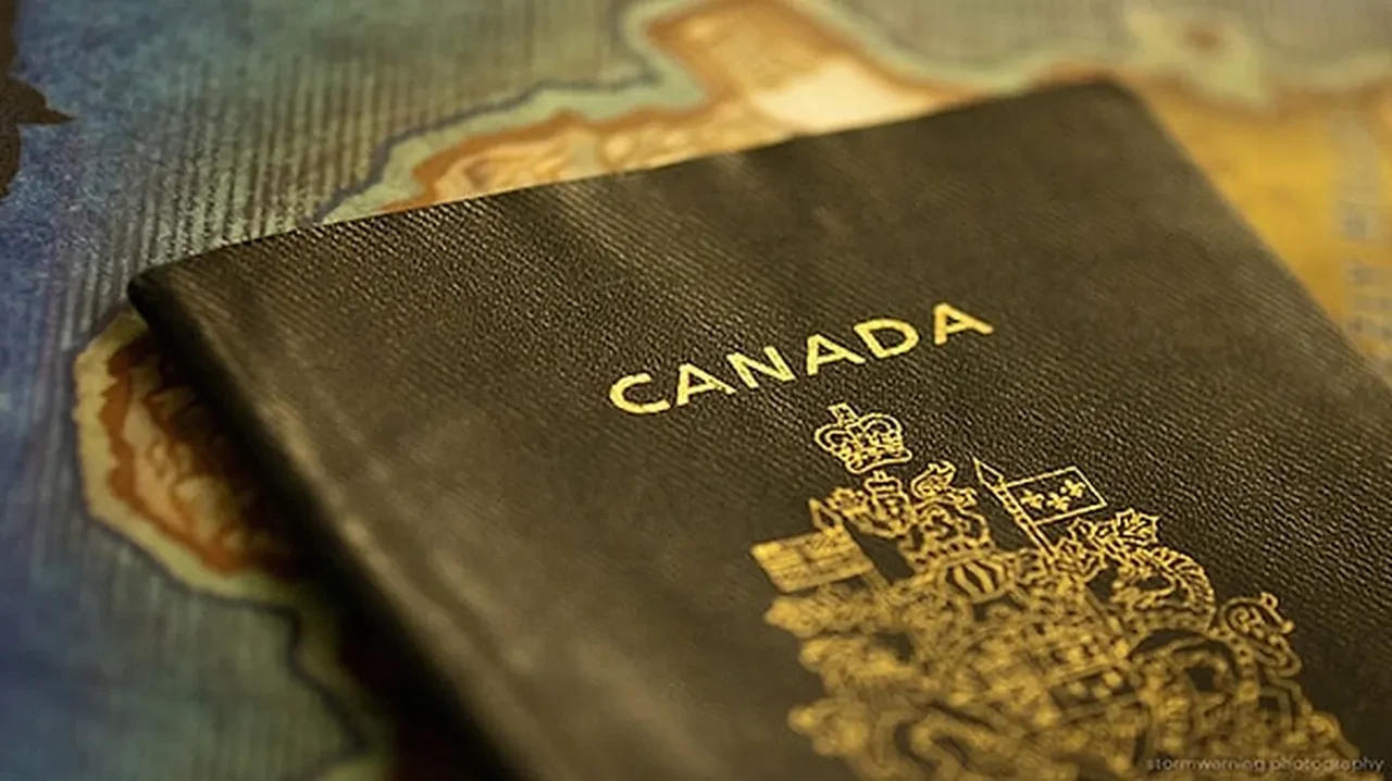 'CHP üyeleri Kanada'ya iltica edebiliyor' iddiası! DMM açıklama yaptı