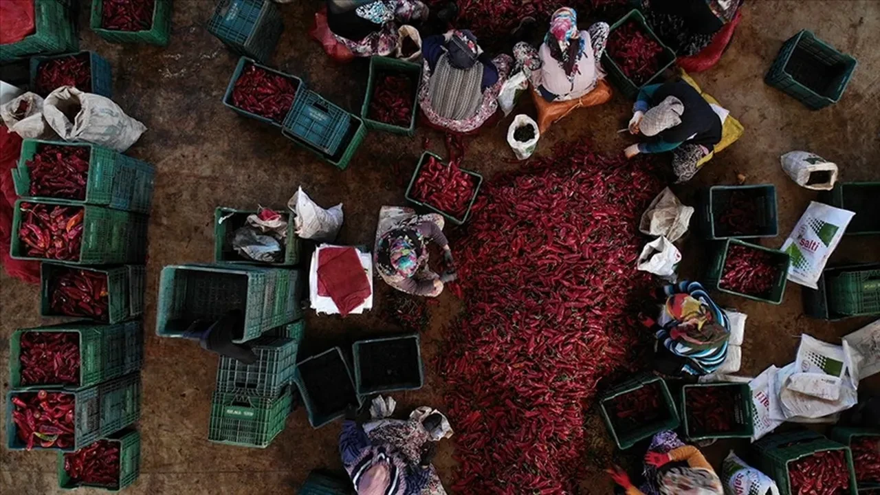 KOOP-DES’ten 63 kooperatife 34,8 milyon lira hibe desteği