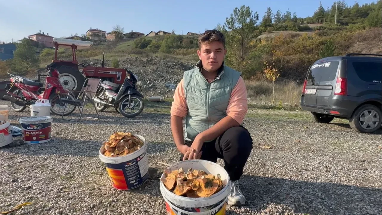 Okul harçlığını mantardan kazanıyor: 