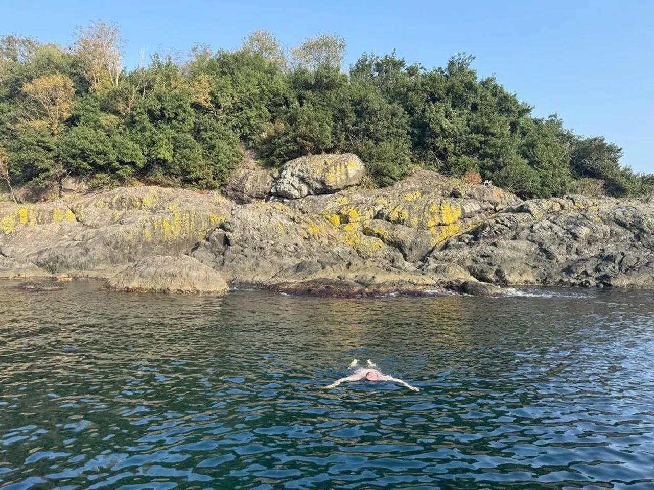 Vali'den Kasım sürprizi: Karadeniz hala cömert!