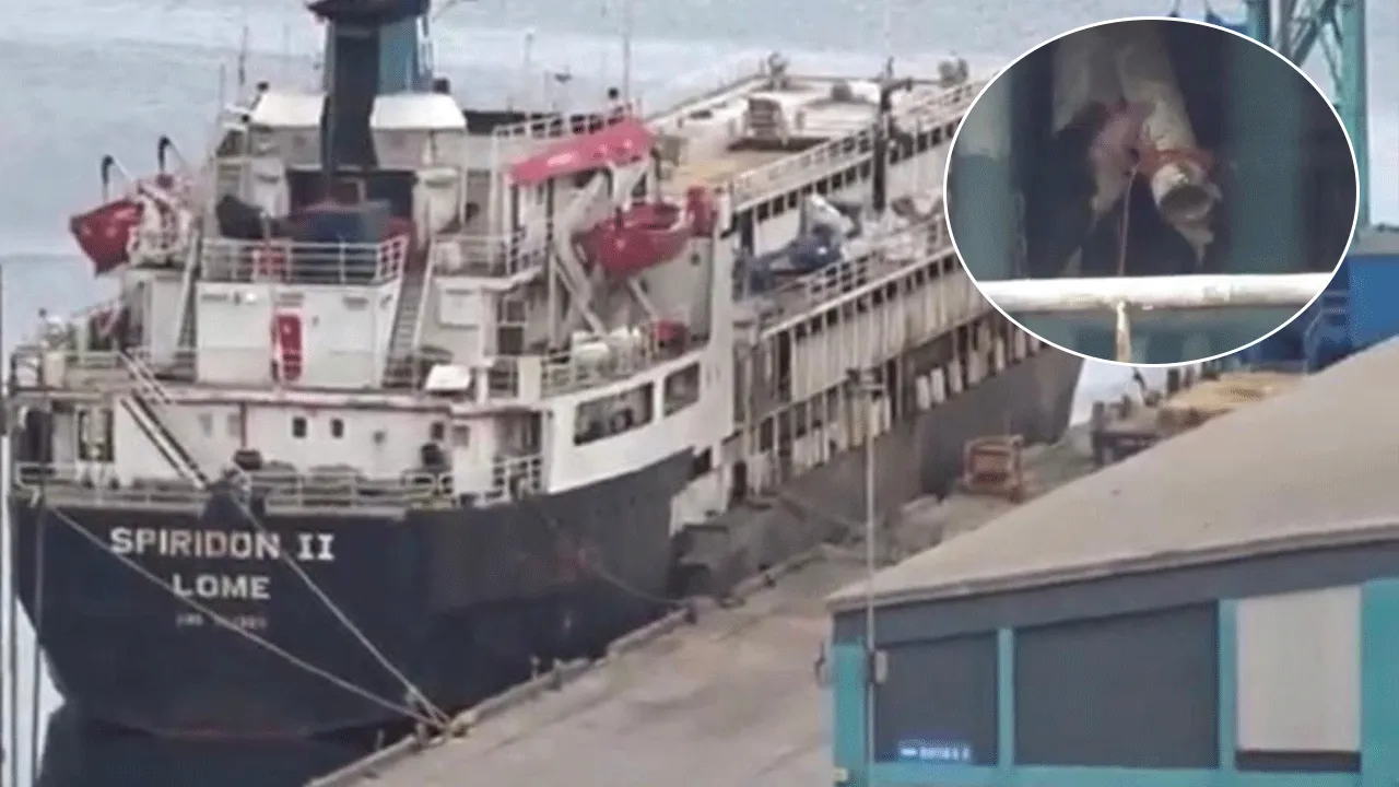 Bandırma'ya demirledi! Hayvanlar susuzluktan boruları yaladı