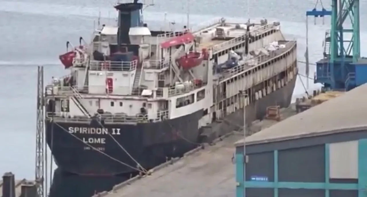 Bandırma'ya demirledi! Hayvanlar susuzluktan boruları yaladı