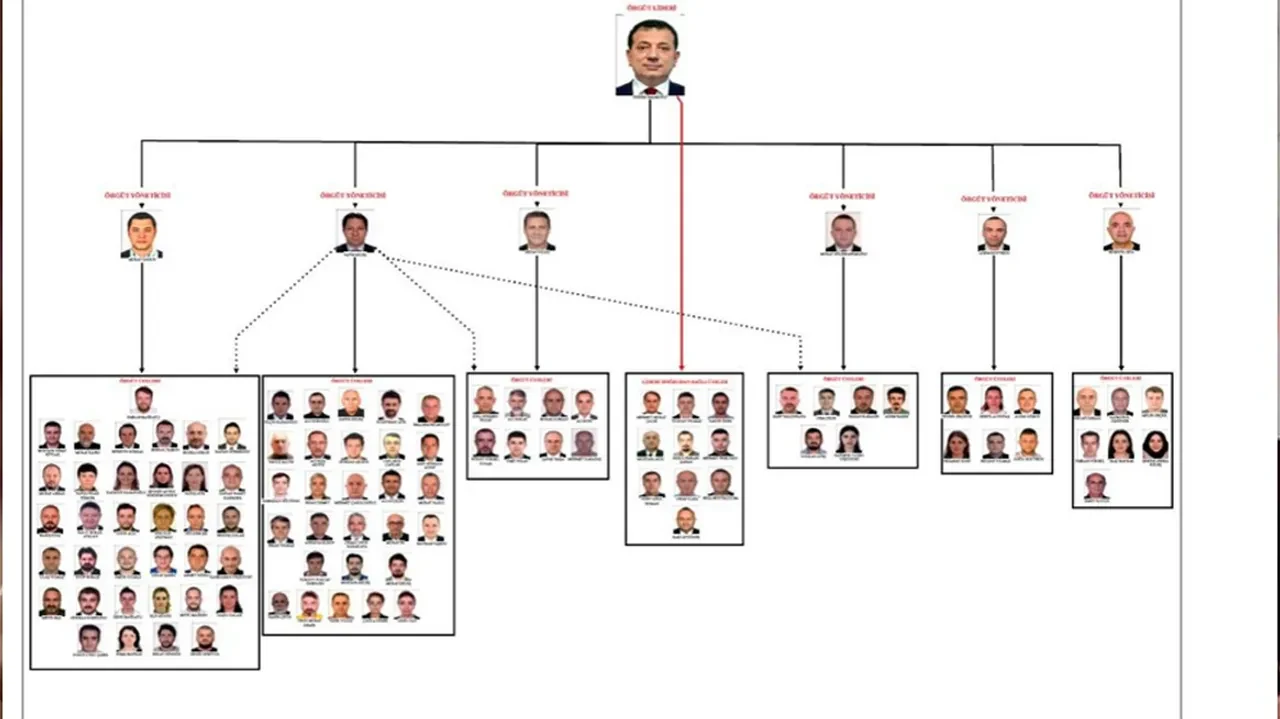 Örgüt şeması ortaya çıktı