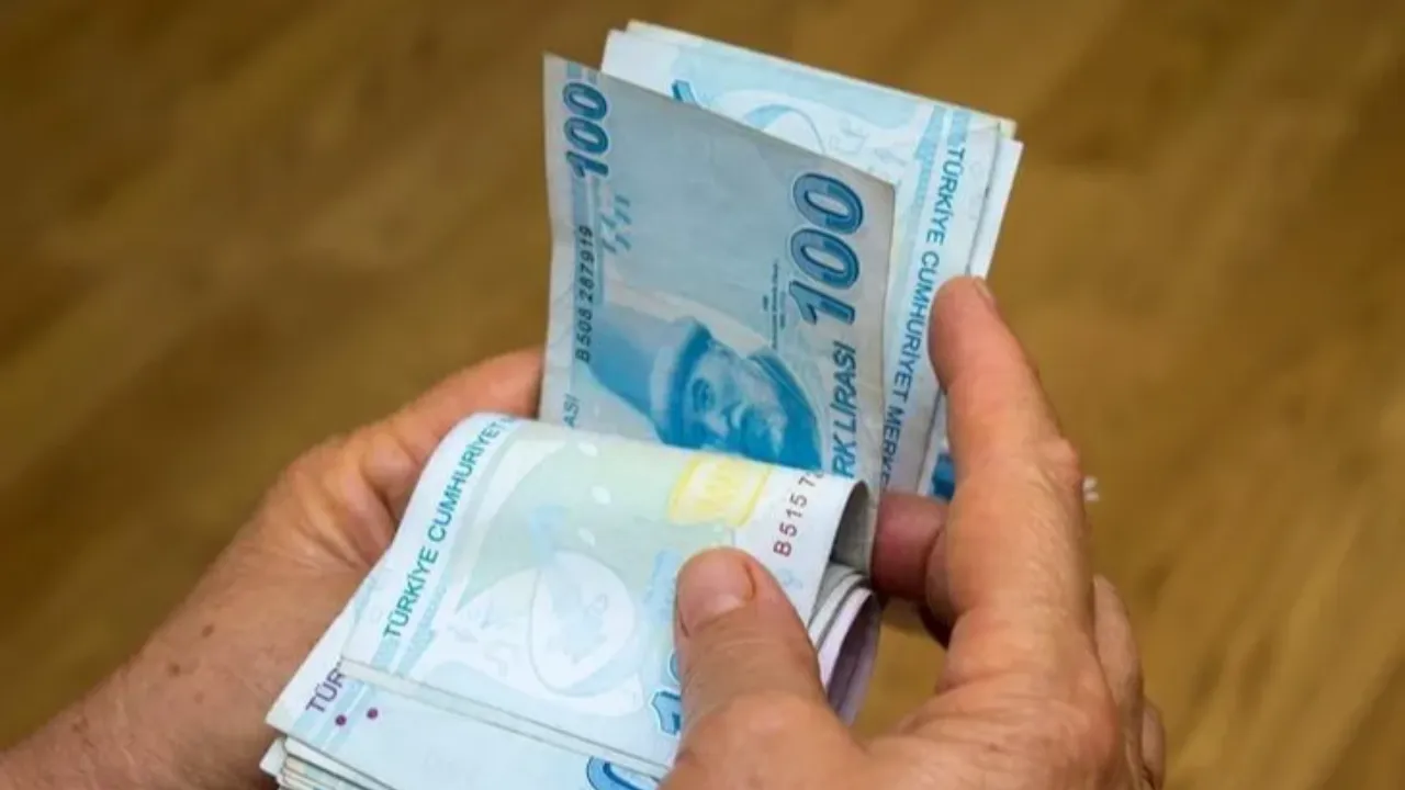 Kasım ayı Sosyal Ekonomik Destek Ödemeleri (SED) yattı mı?